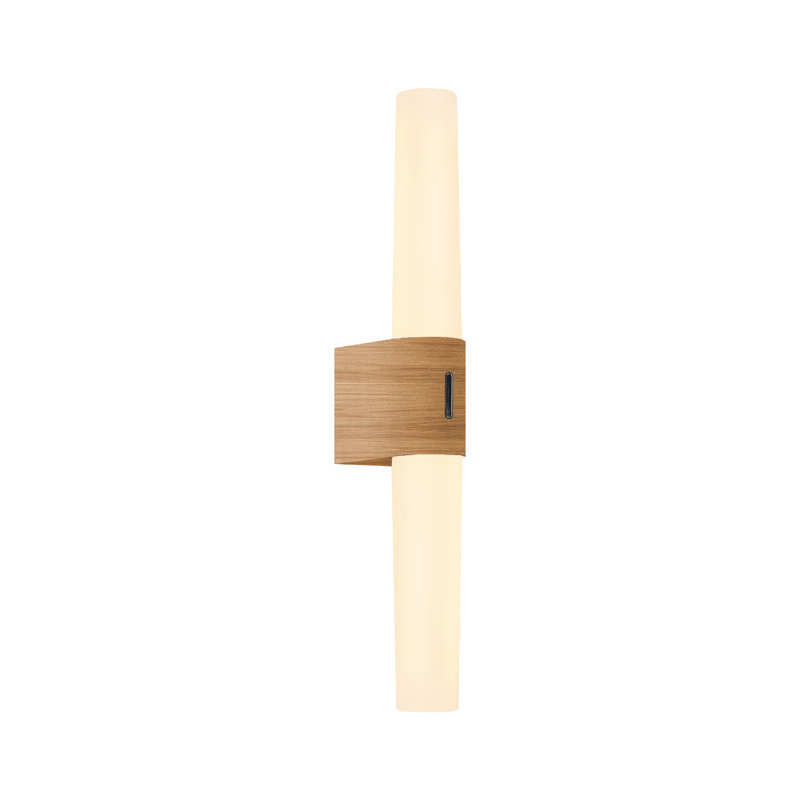 Helva Plastic LED Flush Mounted Sconce