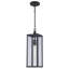 Lanterne suspendue d'extérieur 1 lumière Iddings-1267815990