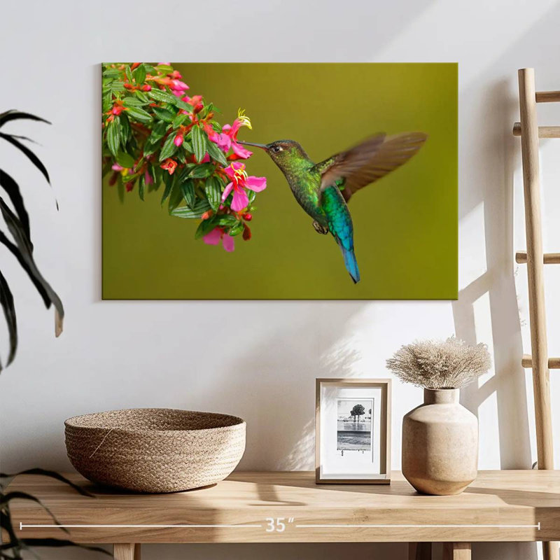 Brampt Hummingbird Feeding, 16" H x 24" W