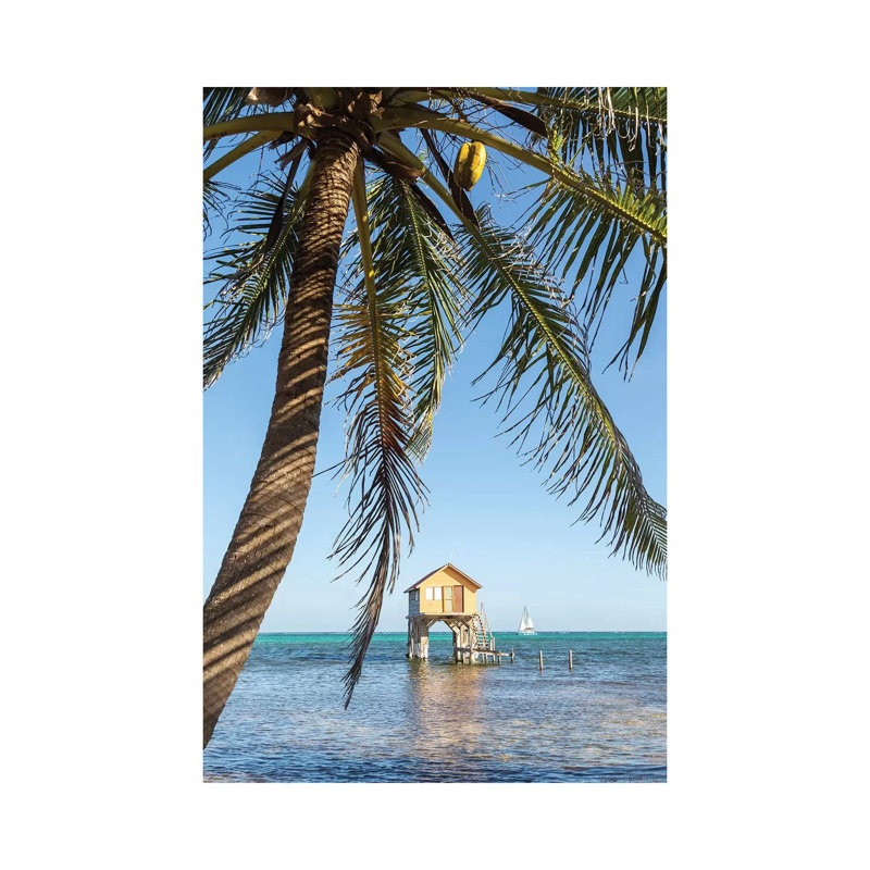 Caribbean Sea, Belize by Matteo Colombo - Wrapped Canvas Print, 66.04 cm H x 45.72 cm W x 3.175 cm D
