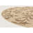 Sarahi Floral Indoor / Outdoor Rug-905759535