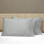 Raffaello Sateen Pillow Case-36504359-47958243
