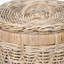 Ebern Designs Sabrenna Wicker Decorative Bin