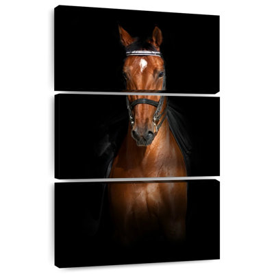 Brampt Brown Dressage Horse