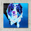 "Aussie - Kokanee" par Dawg Painter-1530808474