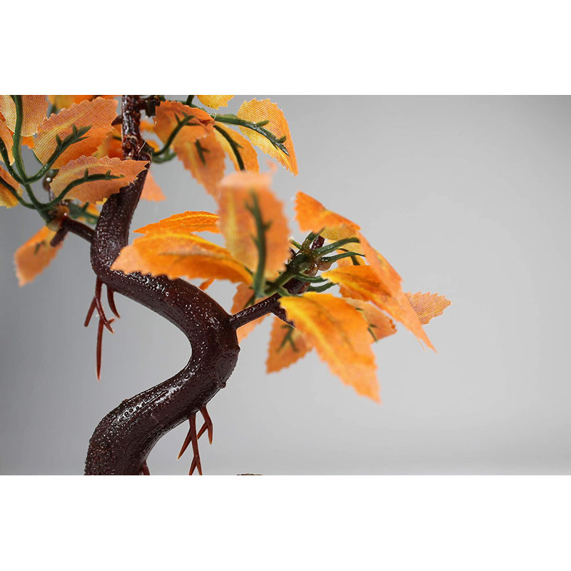 Accessoire d'aquarium