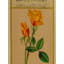 Peinture de rose jaune en fleurs | Couleur de pierre naturelle sur papier | Par Art Zeal