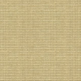 Texture Fabric