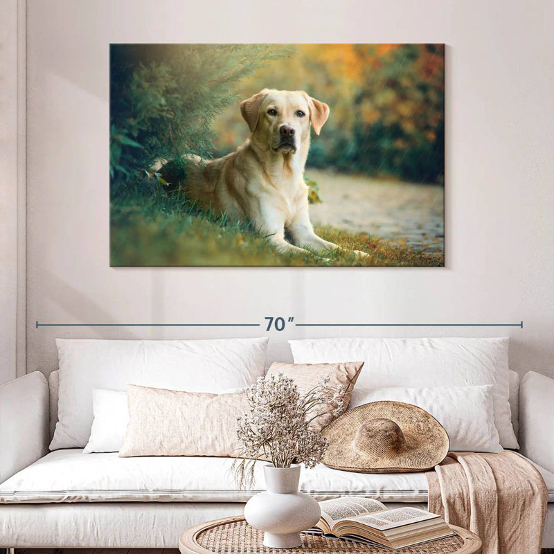 Brampt Labrador Retriever Mix, 32" H x 48" W