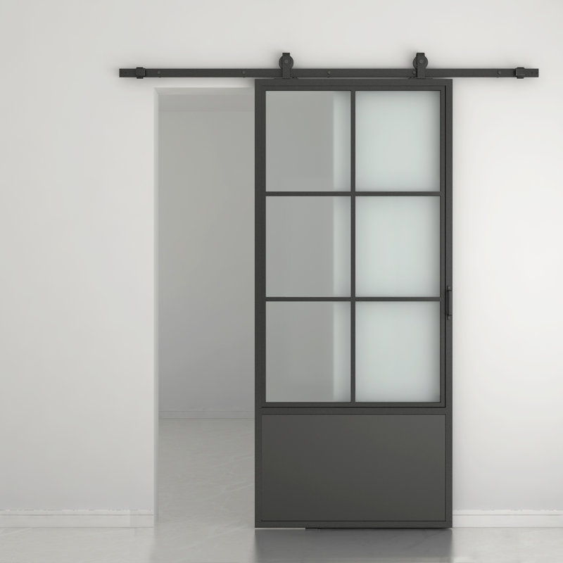 Porte de grange en verre et en métal avec quincaillerie d'installation, H 84 po x l 37 po, Verre transparent