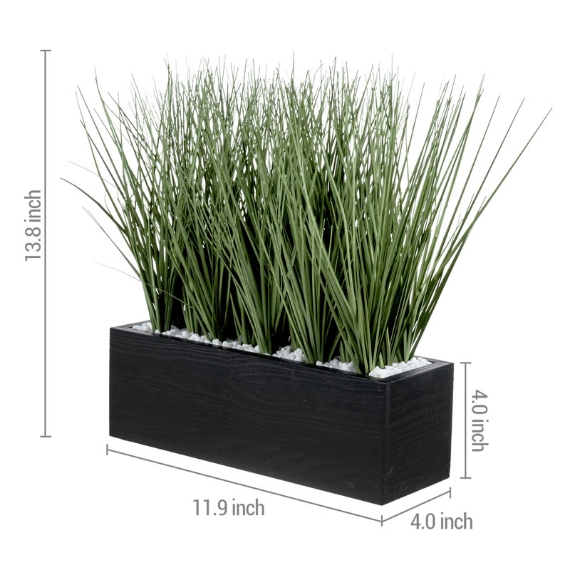 Faux Onion Grass Grass in Solid Wood Planter, Black, 35 cm H x 30.1 cm W x 10.1 cm D