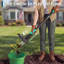 Désherbeur vertical à 4 griffes pour jardin et pelouse - Outil de désherbage ergonomique manuel de 40 pouces - Désherbage facile, fabrication en acier durable, poignée confortable - vert lac