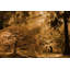 «Bathed In Morning Light» par Don Schwartz, reproduction d'art sur toile tendue-15923896