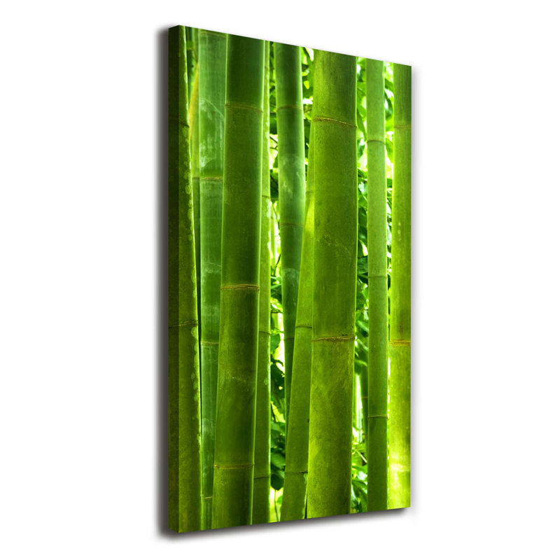Bamboo - Wrapped Canvas Print