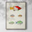 «Colorful Tropical Fish I», reproduction encadrée - bois massif-1926448338