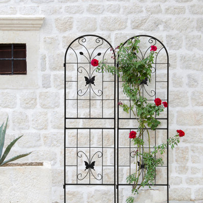Ensemble de 2 treillis de jardin en métal Elegant