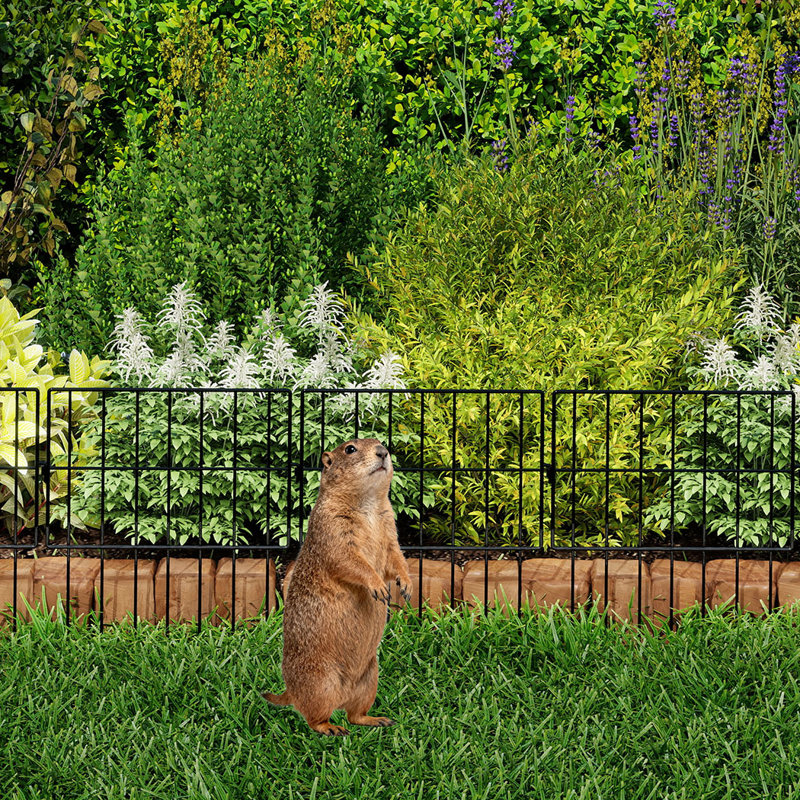 43cm H x 30.5cm W Metal Fence Panels Included