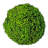 Handmade Natural & Preserved Topiary Green Balls – Decorative Bowl Filler Orbs – Botanical Accent Set Of 6