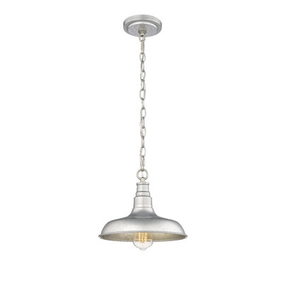 Filsaime Outdoor Hanging Lantern
