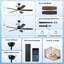 Ventilateurs de plafond avec lumières, ventilateur de plafond intelligent avec application et télécommande-350794966-336933716