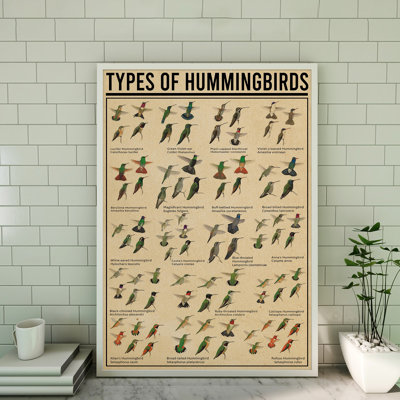 Types Of Hummingbirds Gallery Wrapped Canvas - Animal Illustration Decor, Red And Green Home Decor