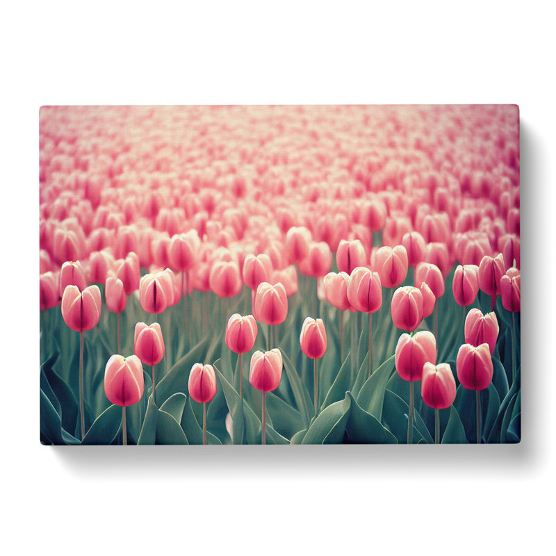 Brilliant Tulip Flowers - Wrapped Canvas, 50cm H x 76cm W x 3cm D