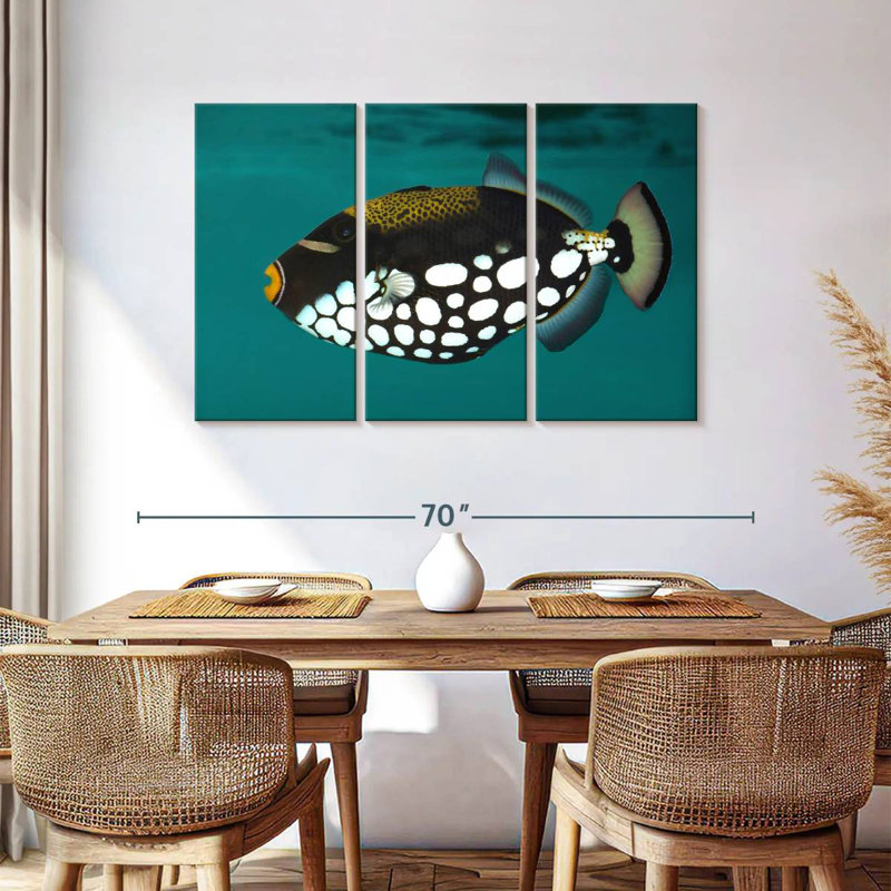 Brampt Clown Triggerfish Pet, H 36 po x l 57 po