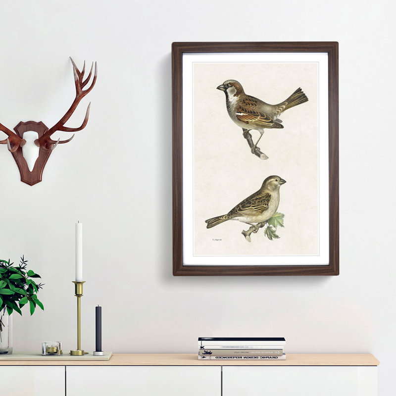 Chiffchaff & Sparrow by Von Wright - Picture Frame Painting Print, 65cm H x 48cm W x 2cm D, Walnut Framed