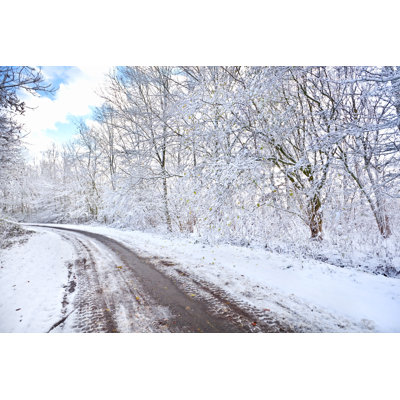 Snowy Winter - Photographie sur toile tendue