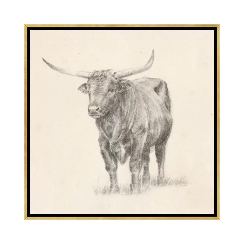 "Longhorn Steer sketch I" par Ethan Harper, reproduction d’art, H 26 po x l 26 po x P 1,5 po, Toile encadrée d'or