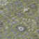 Machine Washable Indoor/Outdoor Kaczor ACN2231 Global Rug
