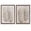 " Pampas Grass III " by Vincent Van Gogh 2 - Pieces-38519895-38519892-38507440