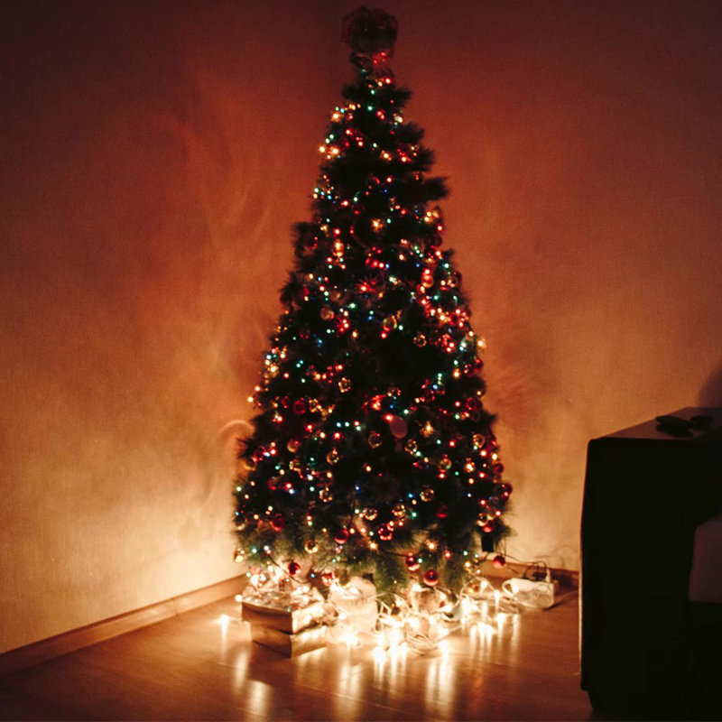 Beegle Outdoor 200 - Bulb 0.2'' LED Rope String Light