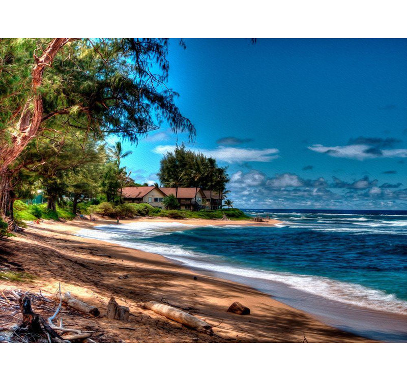 Art sur toile tendue avec la galerie «Bolokofsky», sur la plage à Kauai, H 19 po x l 24 po