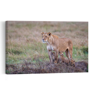 African Lion Family Contemporary Cat Lion Nature Wildlife Wall Art Print by Jeffrey C. Sink - 1 Piece Wrapped Canvas Wall Art