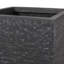 Placeur-788084629