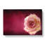 Lone Pink Rose In Abstract - Wrapped Canvas-55307660