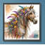 Paint Kit