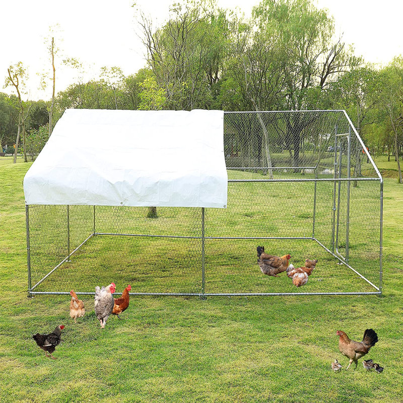 Ridinger 65 Square Feet Chicken Run, 78.84" H x 118.80" W x 118.80" D