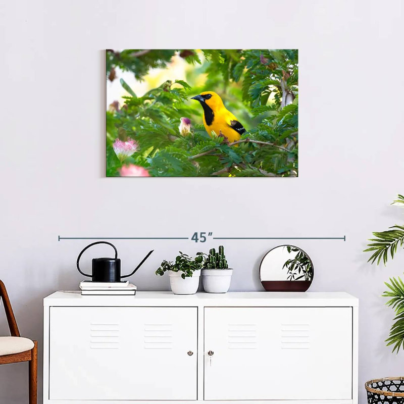 Crowle Oriole Songbirds, 20" H x 30" W