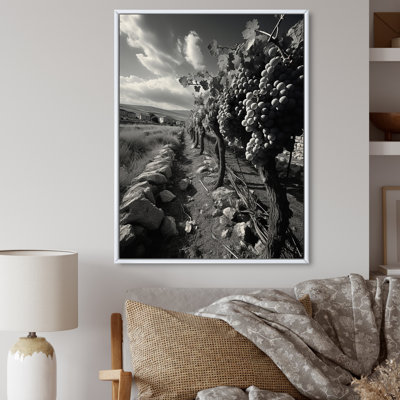 " Vibrant Monochrome Vineyard "