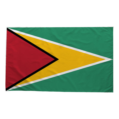 Drapeau de la Guyane - Drapeau extérieur