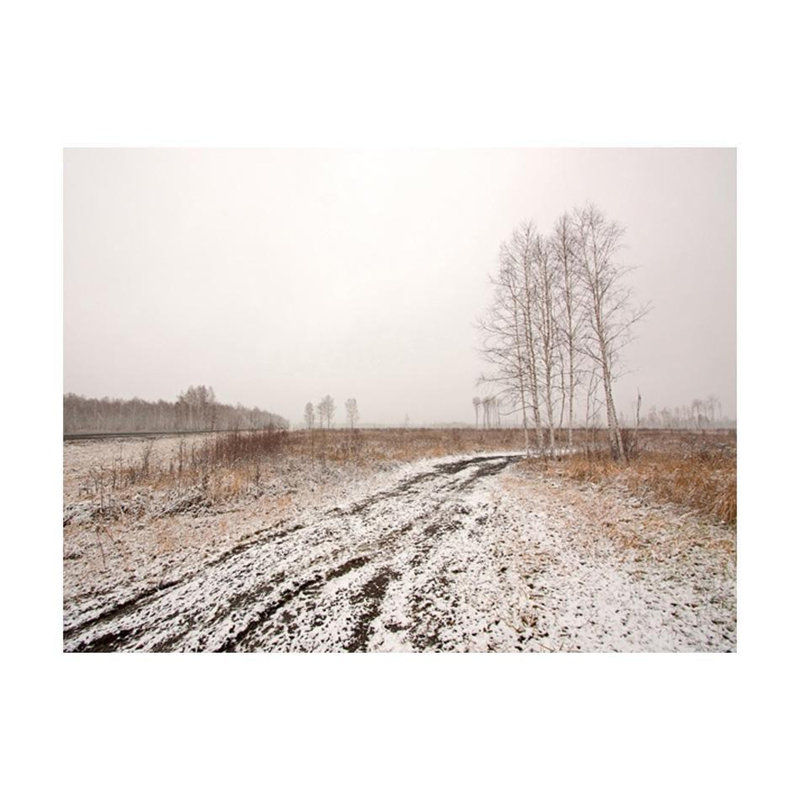 Adhésif mural Dayva Winter Field, L 106 po x l 137 po, Non tissé