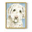 Labradoodle I, reproduction encadrée - bois massif-2048877785