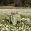 Jardine Tablecloth-1661402676