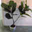 Customer photo 2 of 3