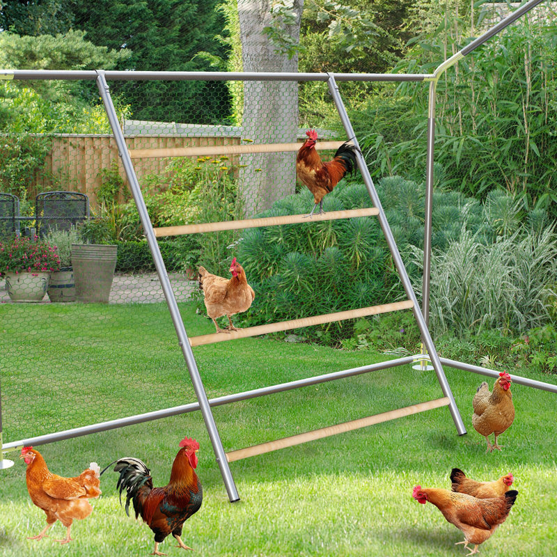 Ficarra Roosting Bars / Frames, 1