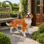 Statue de jardin 21,7 po Cocker Spaniel