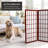 Alex 36.25'' H Short Folding Shoji Screen-856417736-856417741