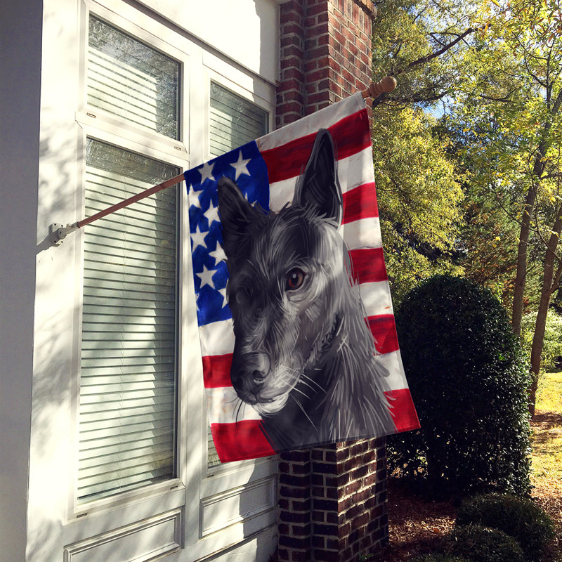 Double Sided 40'' H x 28'' W Polyester Independence Day House Flag, Seskar Seal
